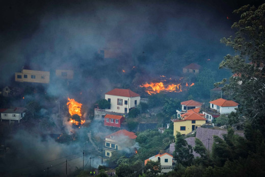 fogos